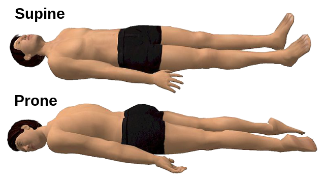 best patient positioning pillows Supine_and_prone