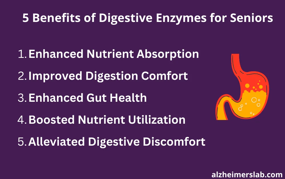 Benefits of Digestive Enzymes for Seniors