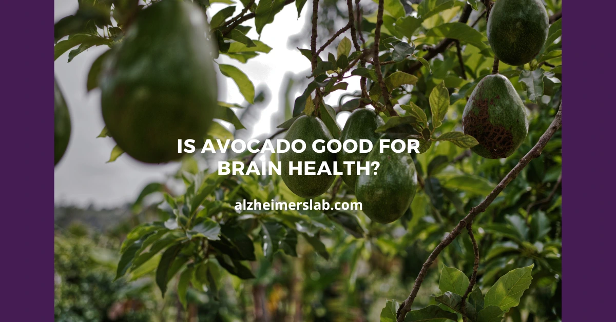 Is Avocado Good for Brain Health?