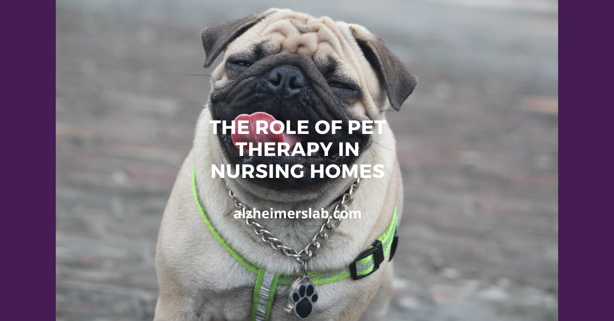 The Role of Pet Therapy in Nursing Homes