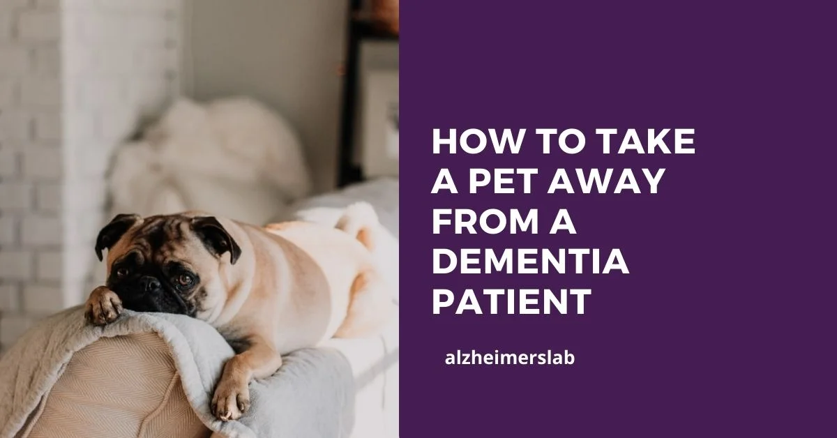 How to Take a Pet Away From a Dementia Patient