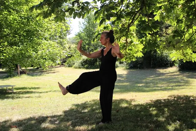 tai chi
